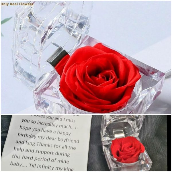 ⚠️❤❤❤Short real rose flower plus love content letter only ,⛔no financial or threatning content  letter allowed ⛔  from a flower store in the usa[see more 👇👇]