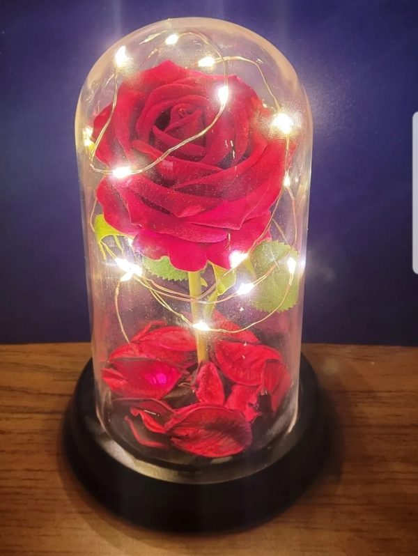 ⚠️ 0.5   ❤❤❤  An Hd led light flower plus lightings ,,see more items 👇👇