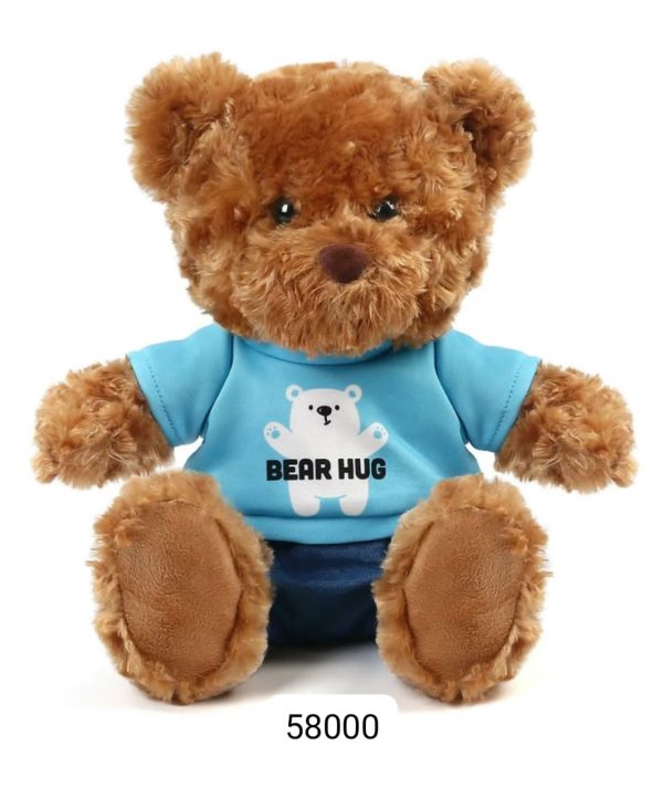 ⚠️⚠️❤️❤️Teddy Bear with hug me clothes.