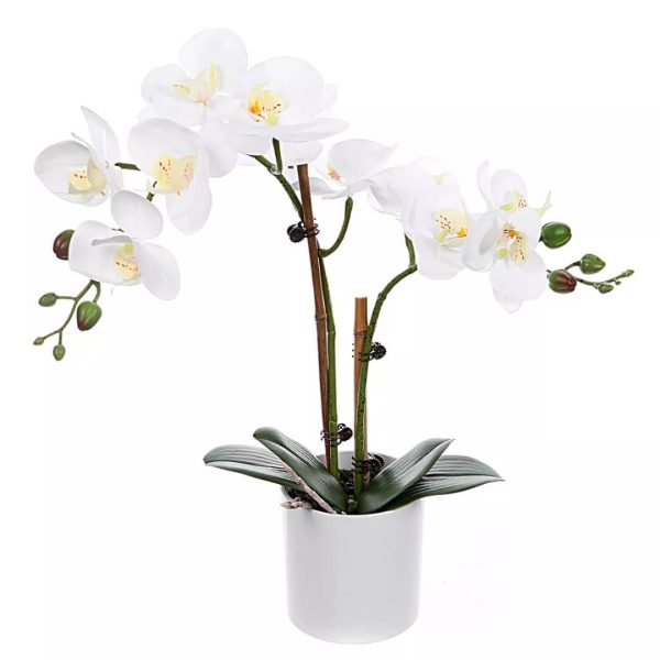 ⚠️⚠️⚠️⚠️⚠️Luxury flower with vase ..EZFLOWERY Artificial Phalaenopsis Orchid Flowers Arrangement with White Vase