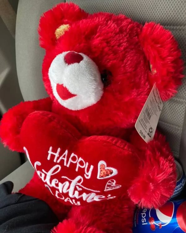 special valentine luxury  Teddy