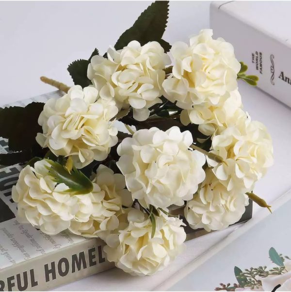 ⚠️ 0.5   ⚠️ 5 heads white silk rose tracking update takes 48hours estimate as store process over 10,000 orders daily on a promo price from a store in usa.