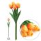 ⚠️ 0.0000000009 orange tulips 5 beautiful pcs not 10pcs for 10pcs scroll down to order from other tulips available. Tracking might take 48hours usa time to be updated. Delivery is 100% assured. For 24hours tracking scroll down to order from other available gifts.