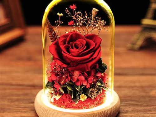 ⚠️ 0.003 hd led light glass flower from a flower store in canada.