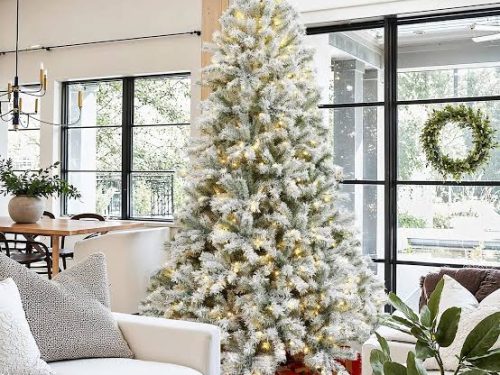 ⚠️ 0.000000000000000000000000000000000000000000000000000000000000000000000000000000000000000000000000000000000000000000000000000000000000000000000000000000000000000000000000000000000000000000000000000000000000000 HIGH STANDARD DELIVERY 2 TO 5 DAYS ✈️✈️✈️✈️✈️✈️✈️✈️✈️✈️✈️✈️✈️ Christmas Tree 12ft with light 30 YEARS  old HEIGHT ...HUMAN HEIGHT SUITABLE FOR YOUR RICH LOVED ONES ABROAD  ..DELIVERY ASSURED 100%