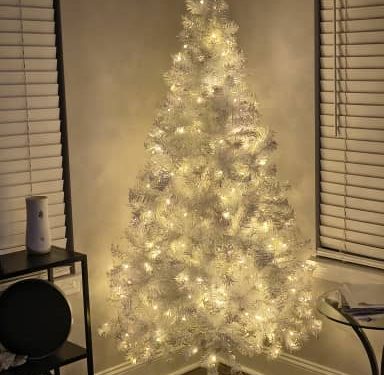 ⚠️ 0.000000000000000000000000000000000000000000000000000000000000000000000000000000000000000000000000000000000000000000000000000000000000000000000000009 white 5ft christmas tree. Pls order immediately for timely delivery fast shipping