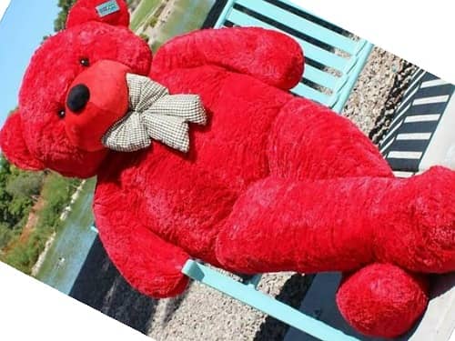 ⚠️ 0.00000000000000000000000000000000000000000000000000000000000000000000000000000000000000000000000000000000000000000000000000000000000000000000000000000000000000000000000000000000000000000000000000000000000000000000000000000000000000000000000000000000000000000000000000000000000000000000000000000000000 0000000000000000000000000000000000000000000 perfect valentine gift. For your loved ones abroad ....40year old man teddy Red color to symbolize love ......... 2 to 4 days shipping..........